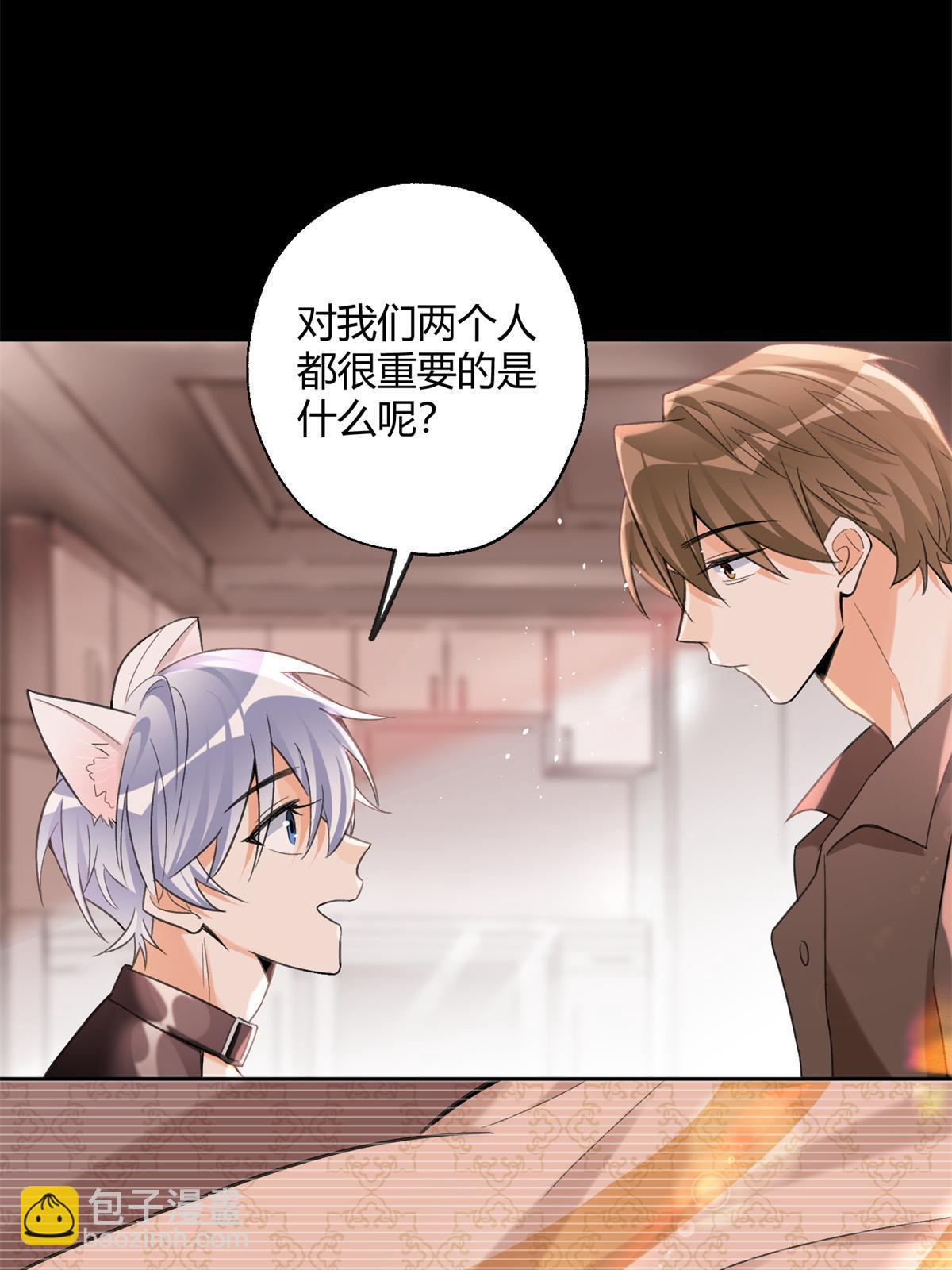 104 猫猫回归！-第104话