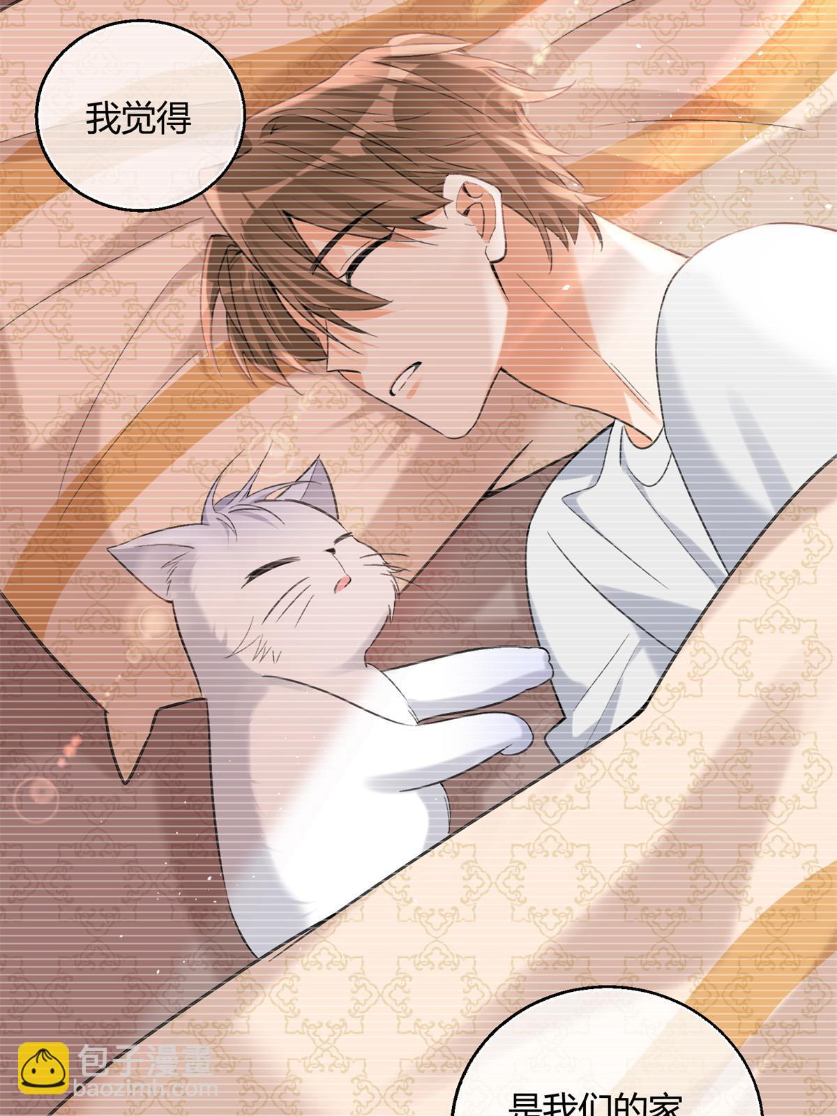 104 猫猫回归！-第104话