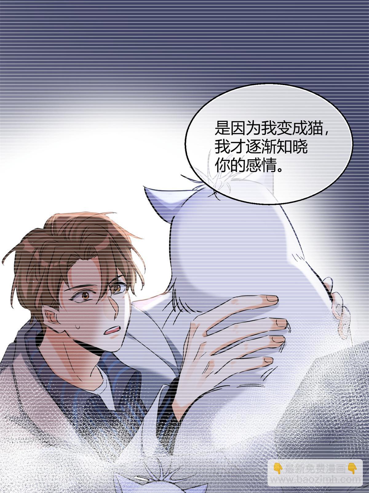 104 猫猫回归！-第104话