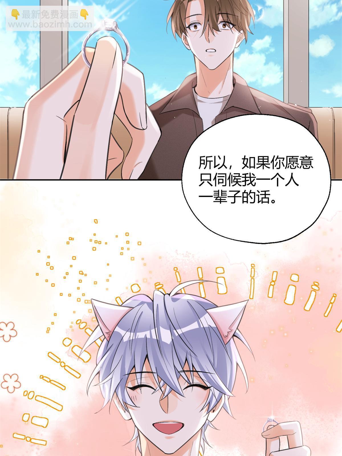 104 猫猫回归！-第104话