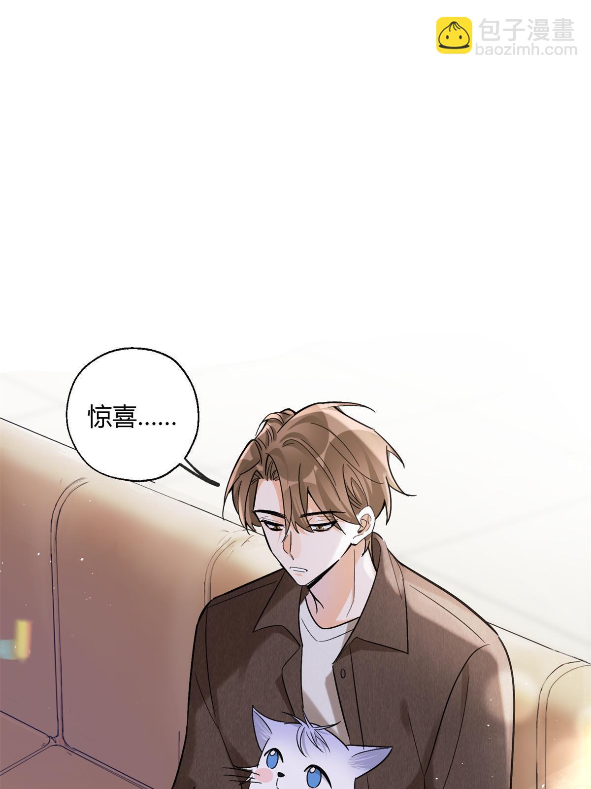 104 猫猫回归！-第104话