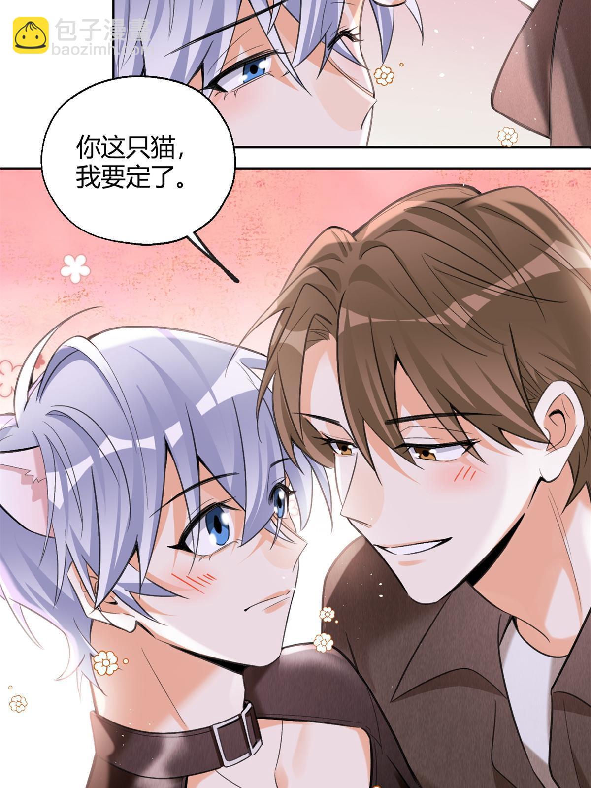 104 猫猫回归！-第104话