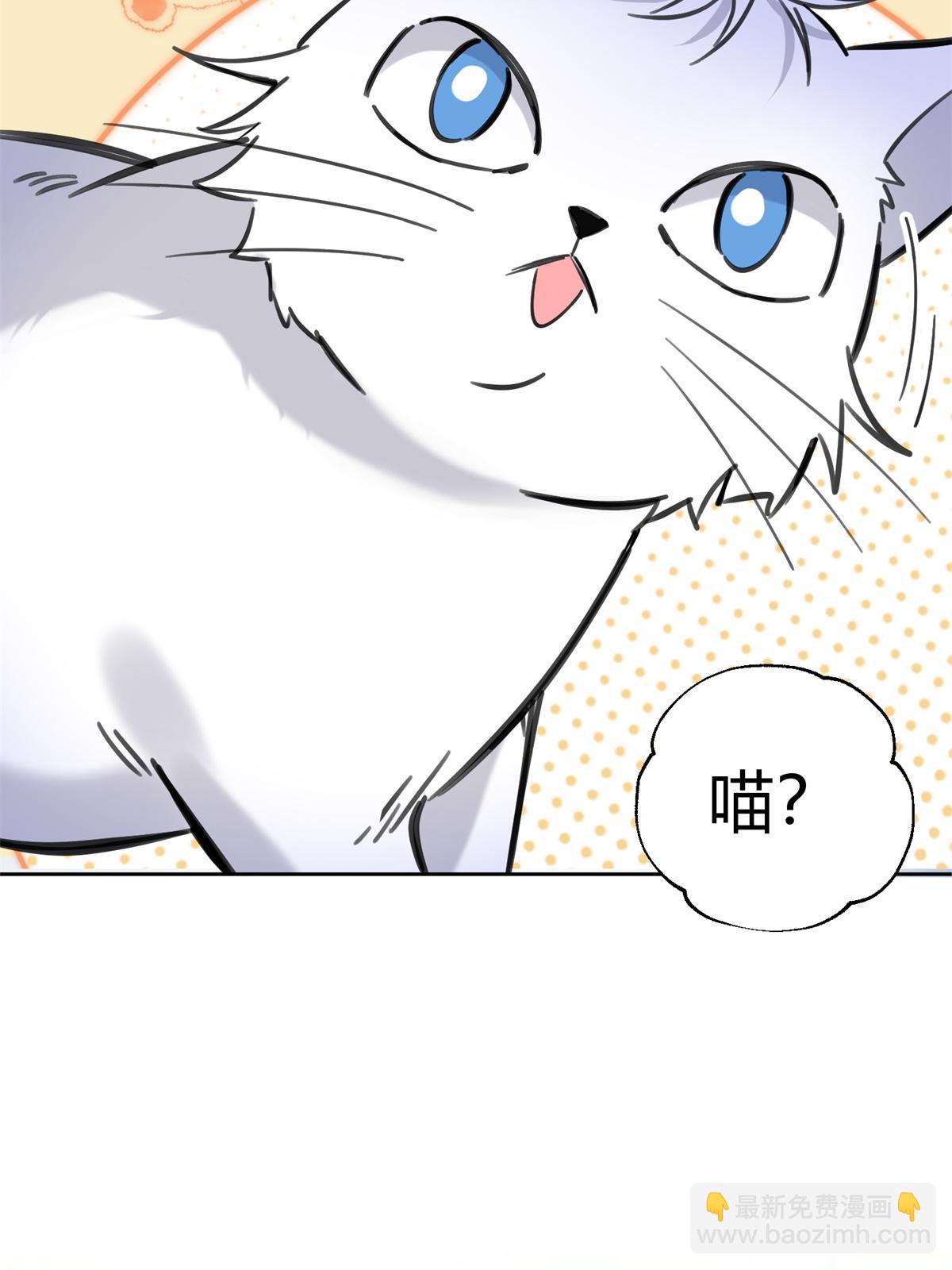 104 猫猫回归！-第104话