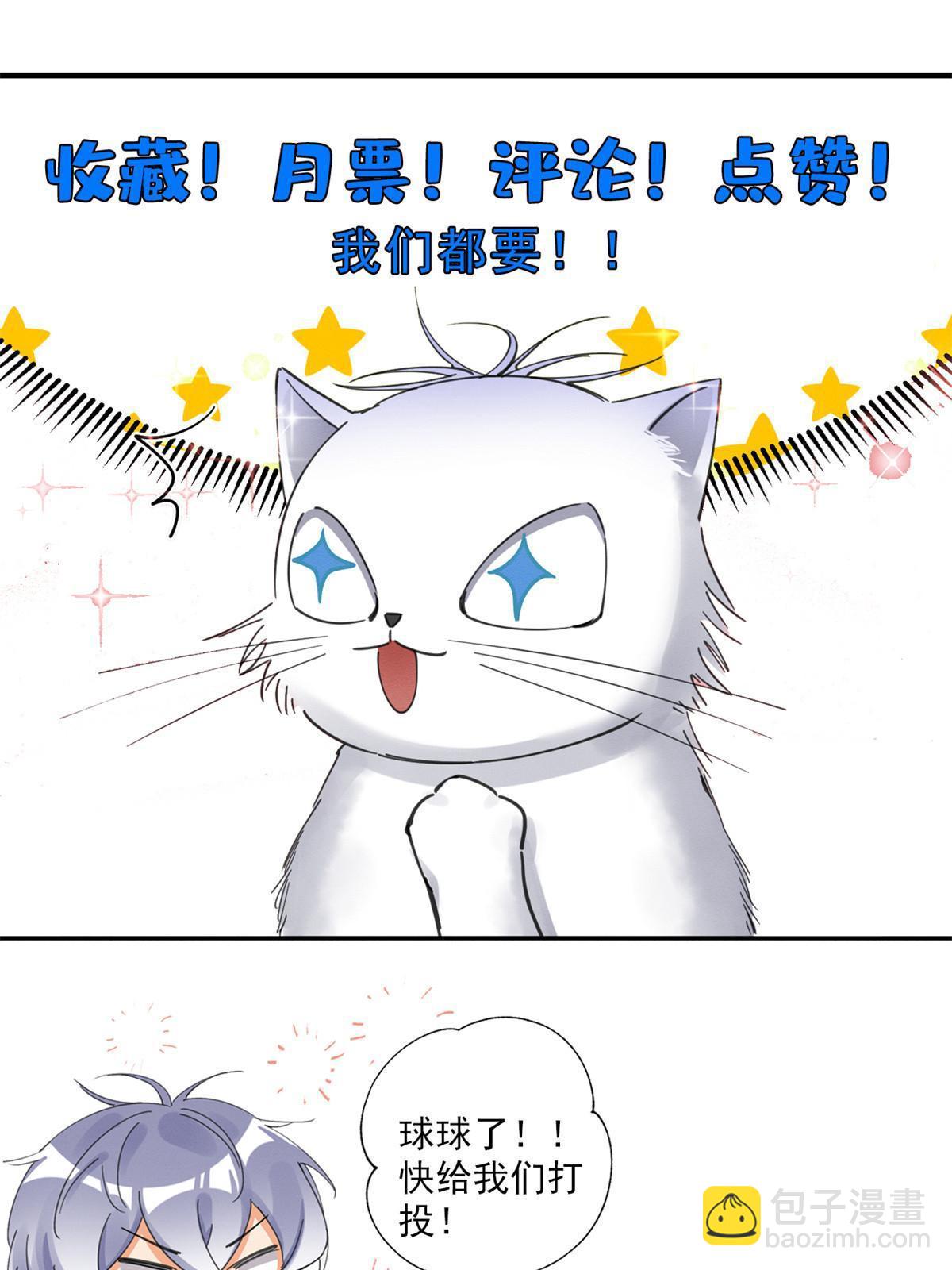 104 猫猫回归！-第104话