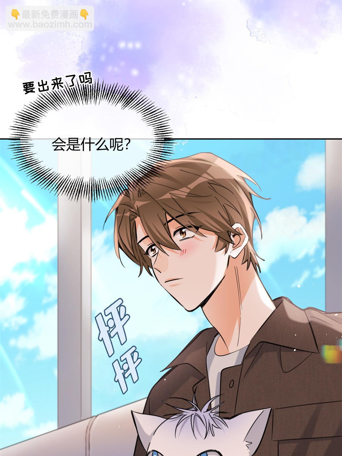 104 猫猫回归！-第104话