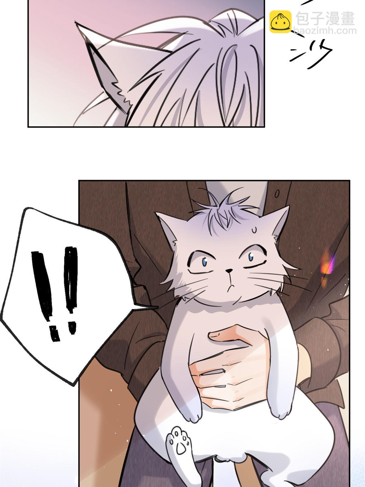 104 猫猫回归！-第104话