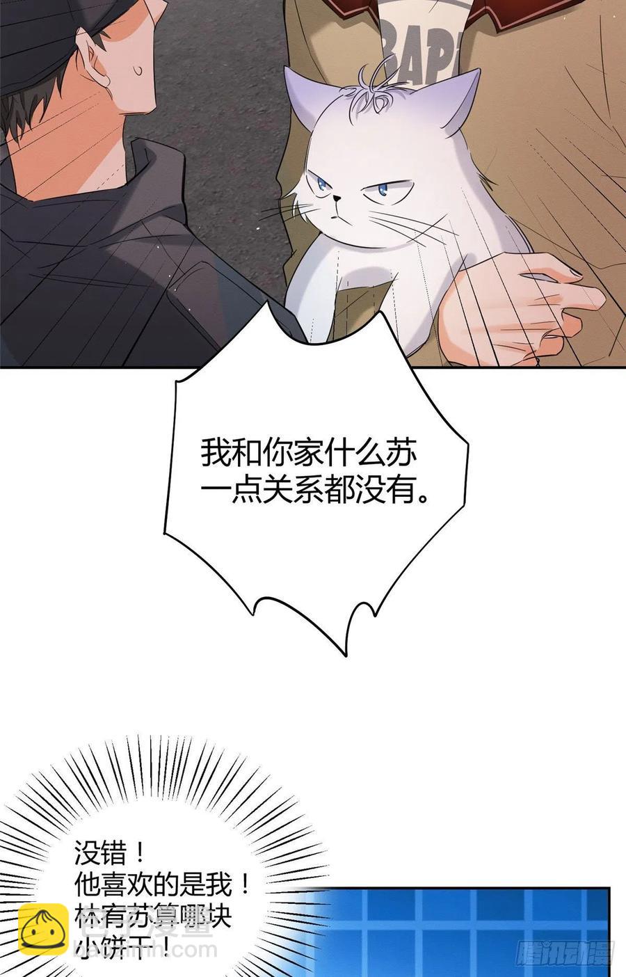 第34话 人猫CP-第34话