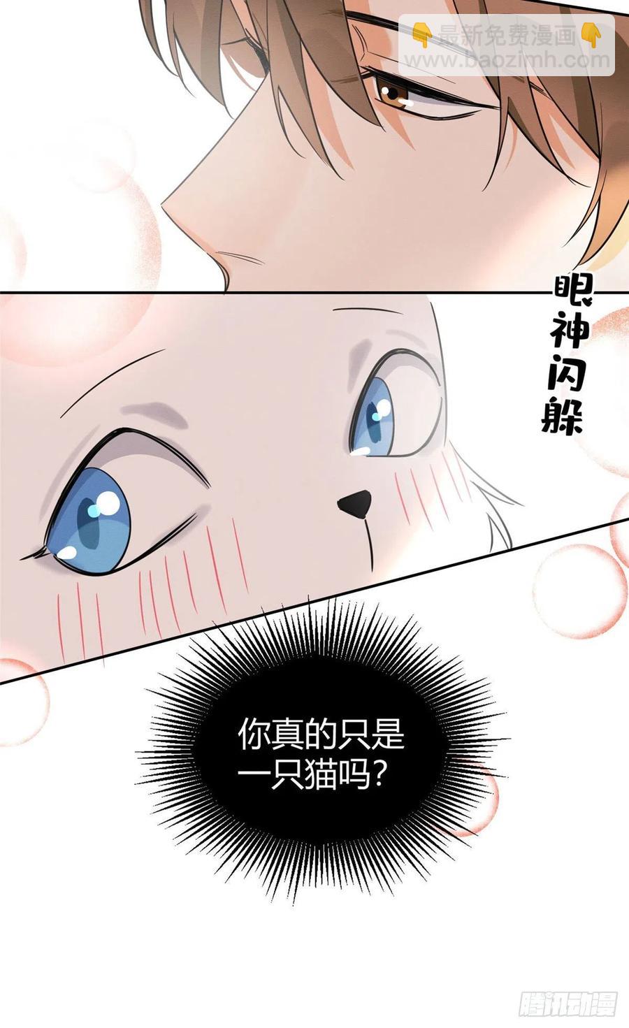 第34话 人猫CP-第34话