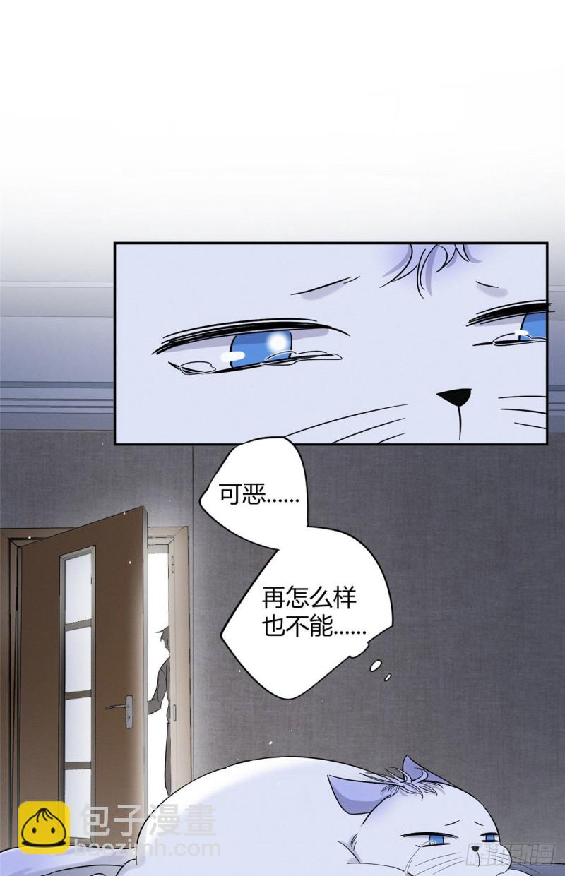 第38话 吻？能醒吗-第38话