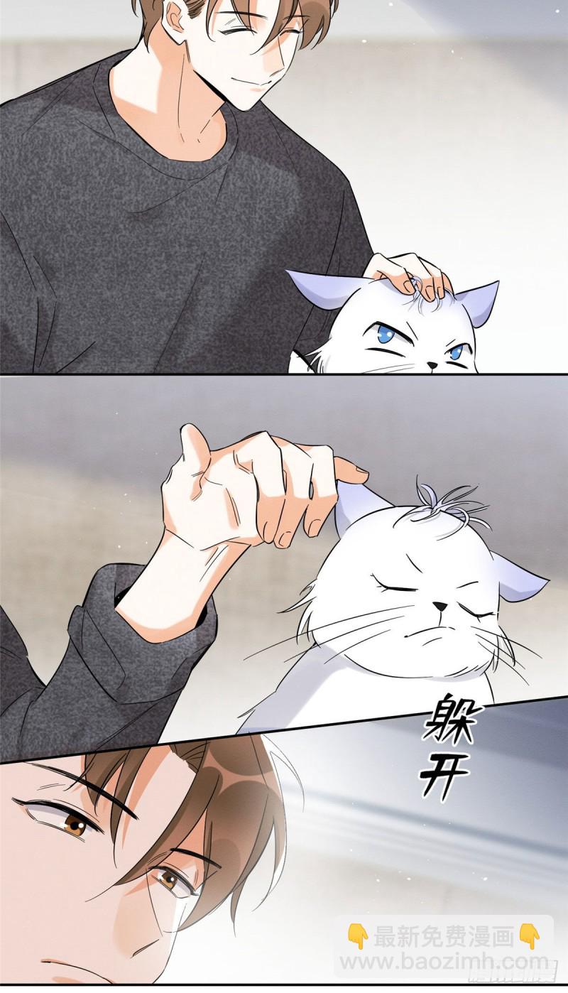 第38话 吻？能醒吗-第38话