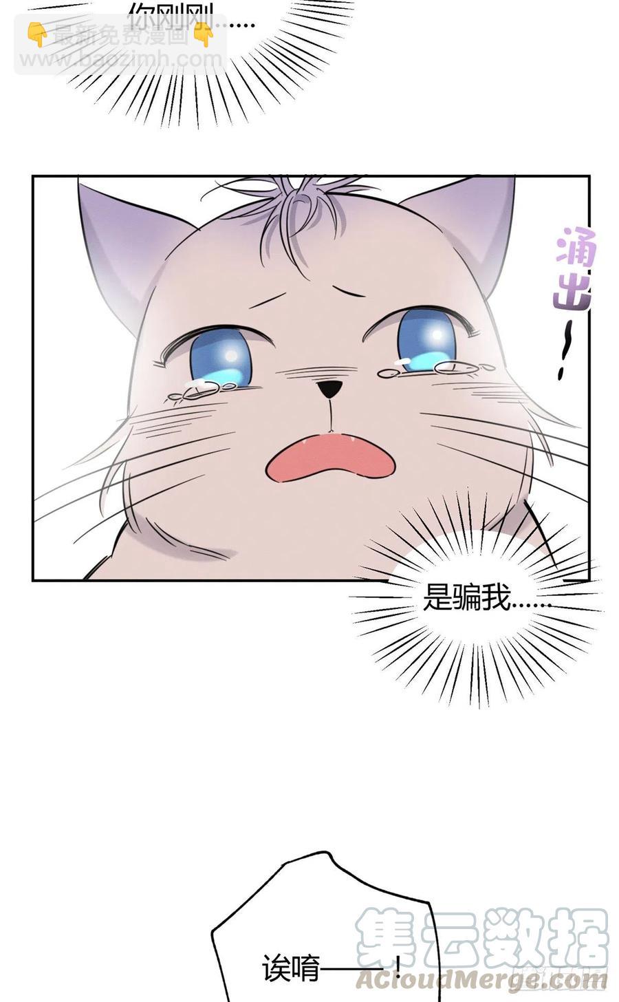 今天也要努力當只貓 - 第40話 舔一舔 - 1