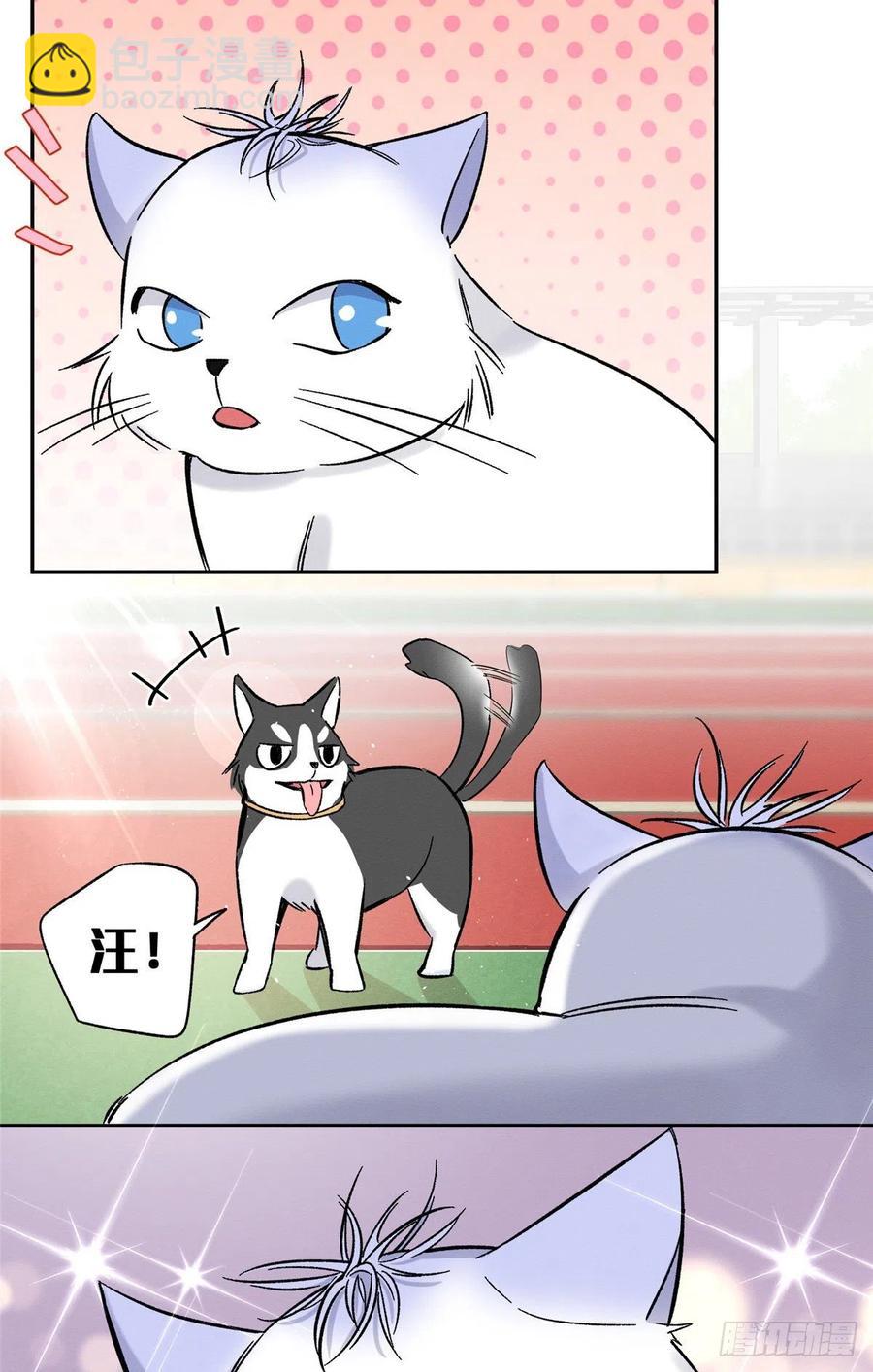 第42话 喜欢的模样-第42话