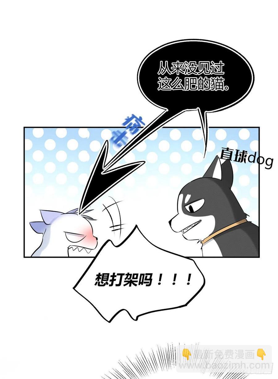 第42话 喜欢的模样-第42话