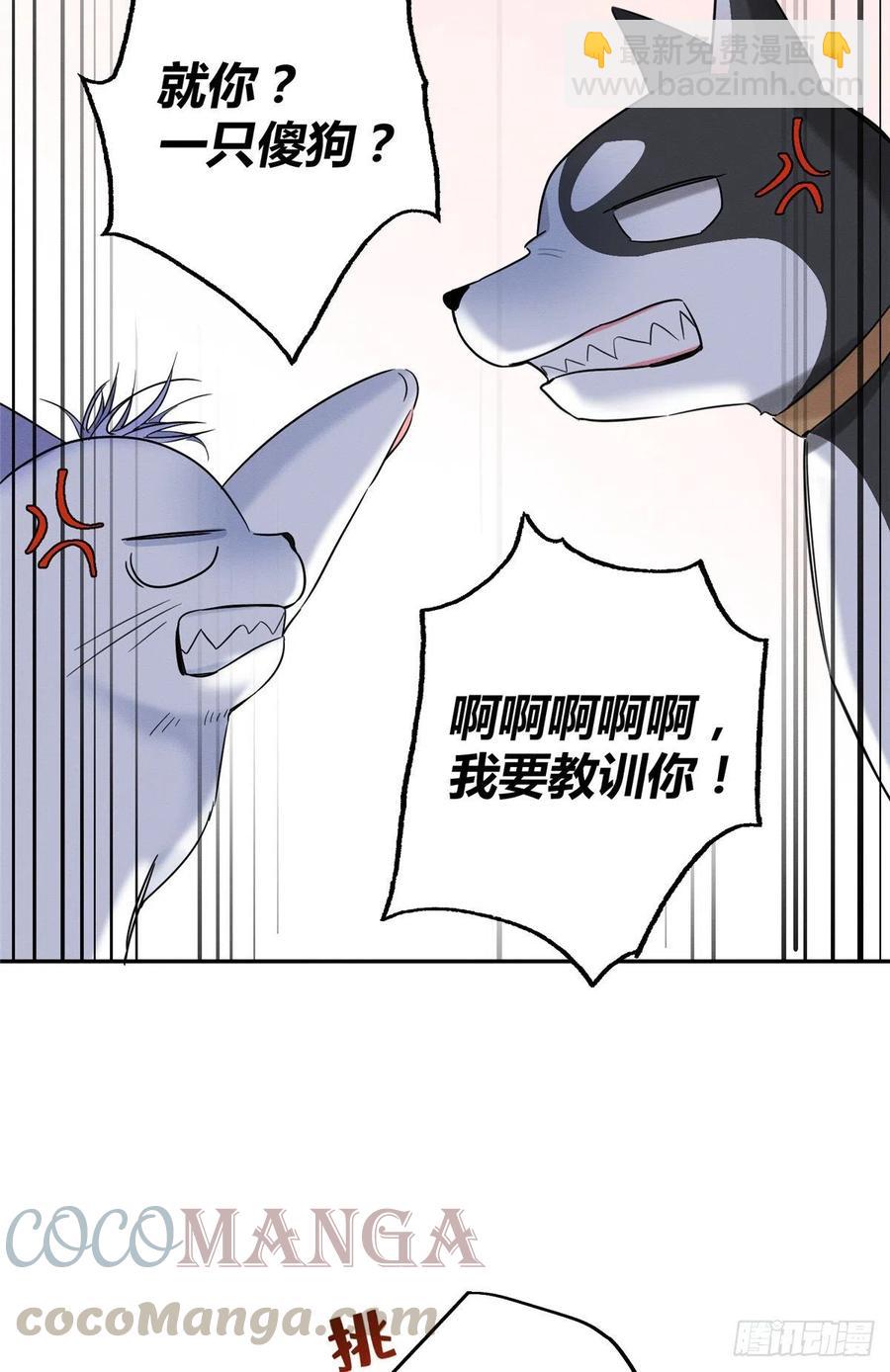 第42话 喜欢的模样-第42话