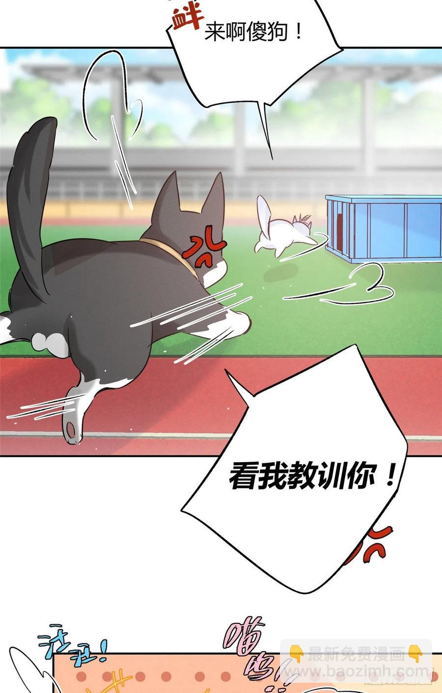 第42话 喜欢的模样-第42话