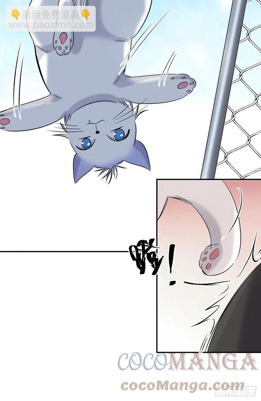 第42话 喜欢的模样-第42话