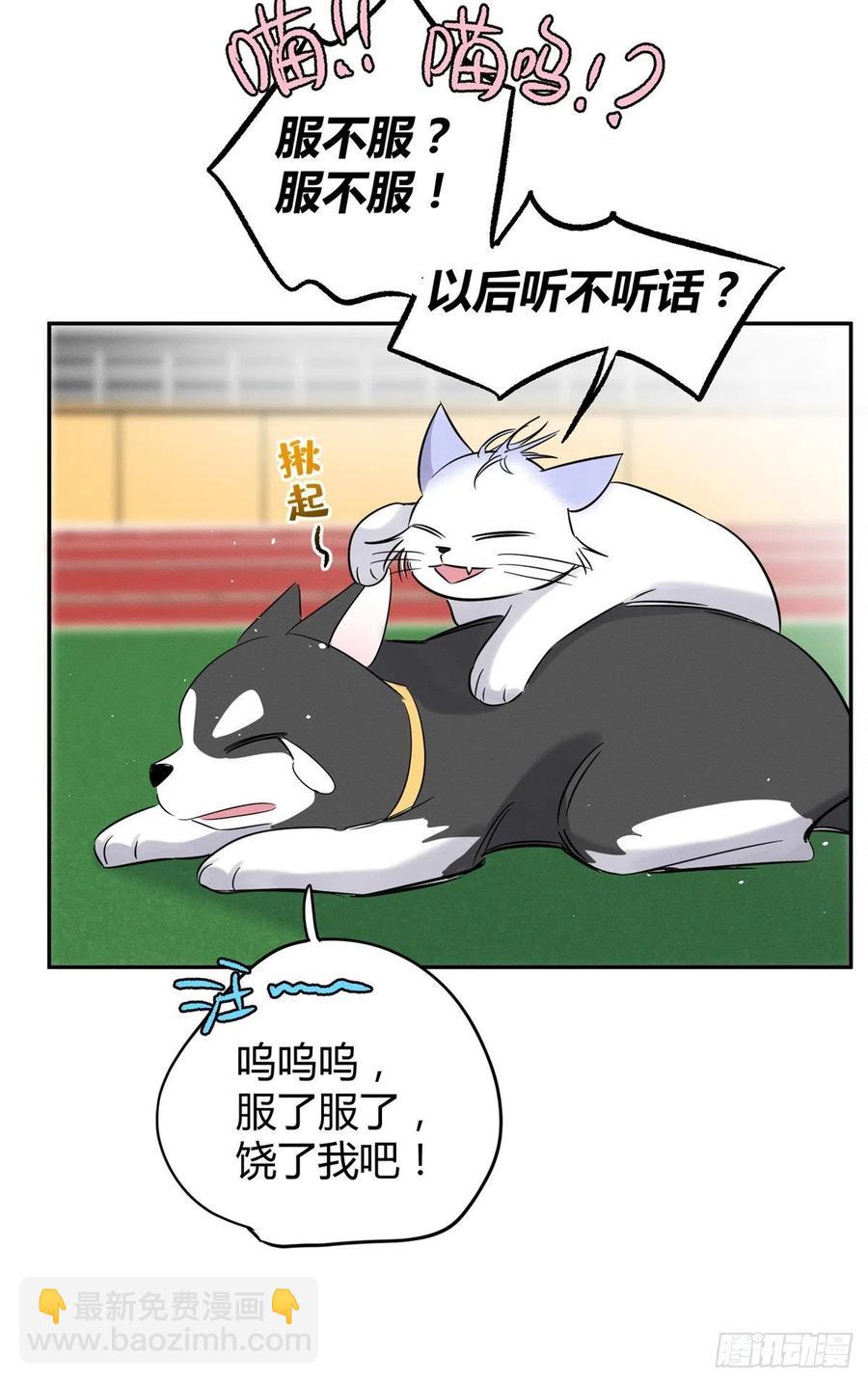 第42话 喜欢的模样-第42话