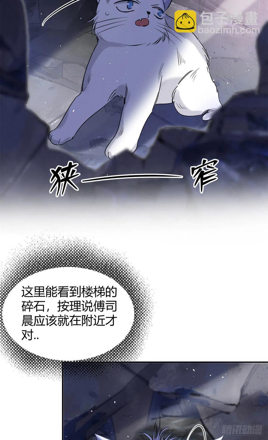 今天也要努力當只貓 - 53 裴臻你變回來了？！(1/2) - 8