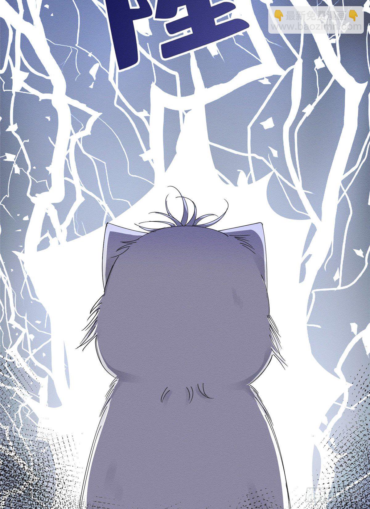 第6话 笨蛋！(1/2)-第6话