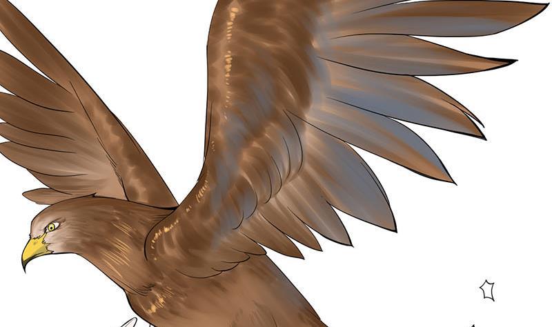 第三季 第247话 未央坠马(1/2)-第248话