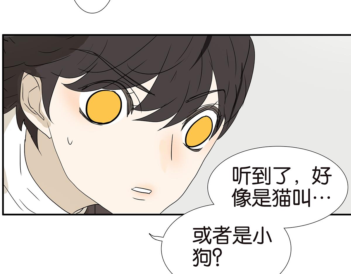 金斬和喻樹 - 175話-是貓(1/2) - 8