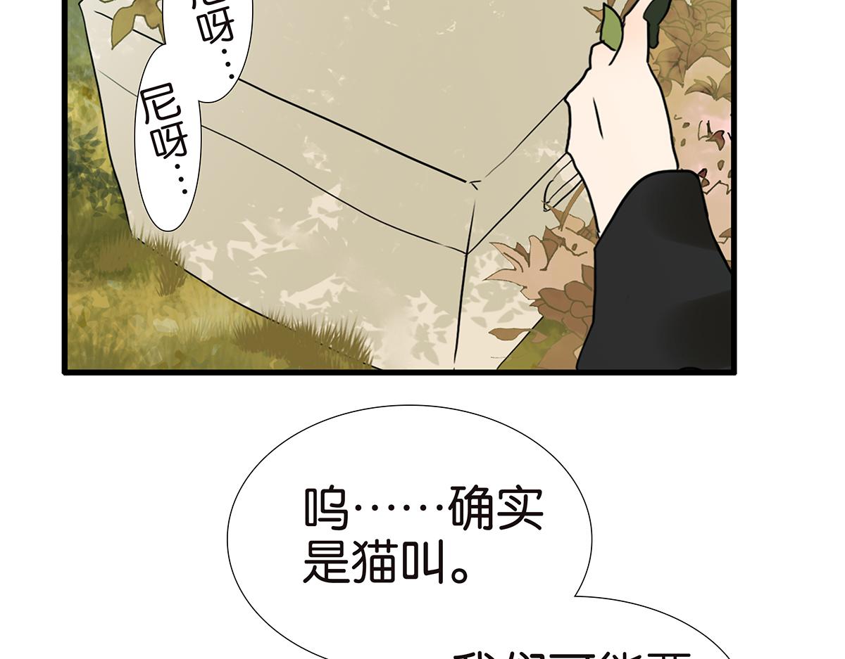 金斬和喻樹 - 175話-是貓(1/2) - 3