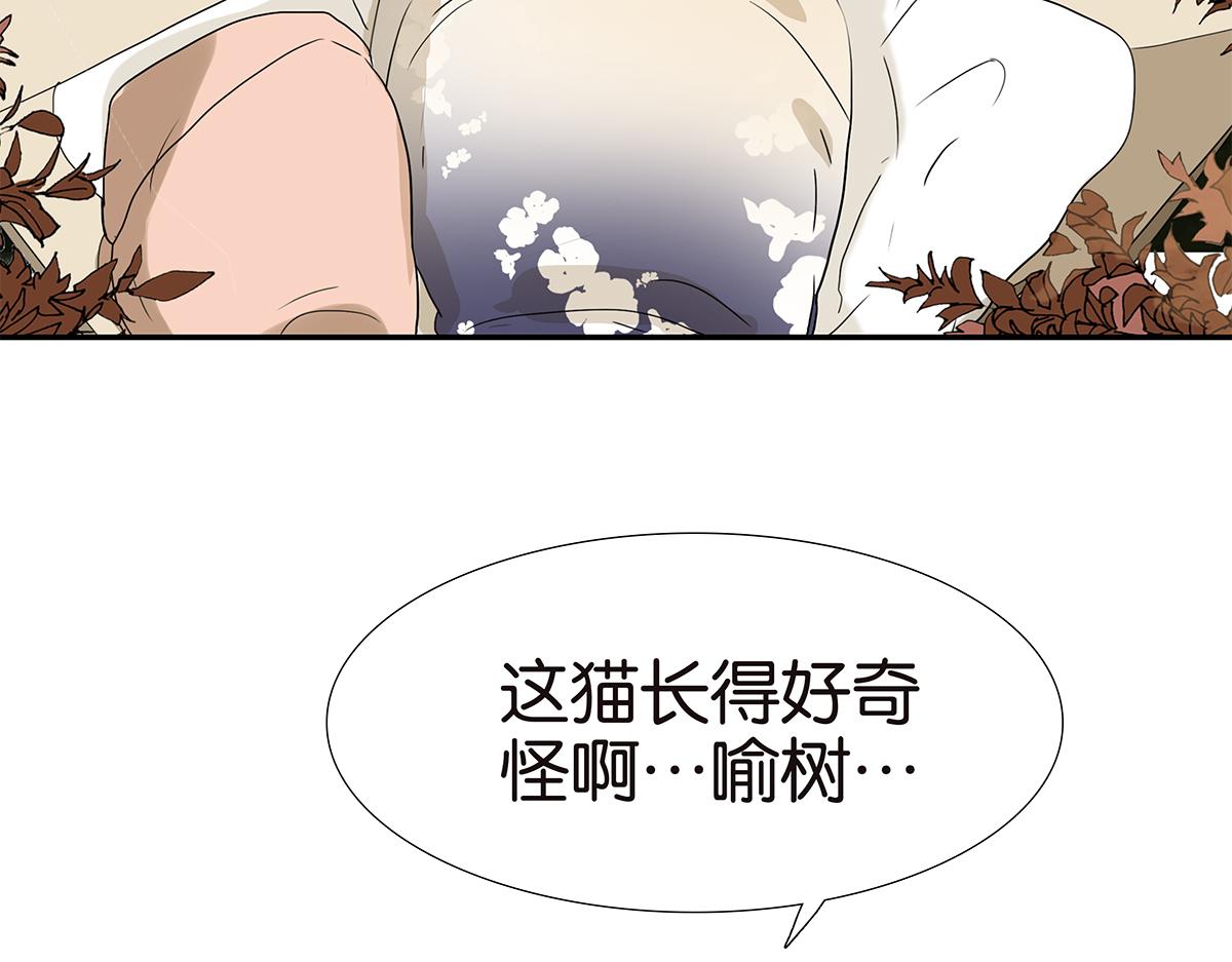 金斬和喻樹 - 175話-是貓(1/2) - 7