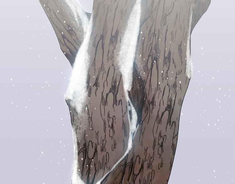 第11话 愿望(1/2)-第12话