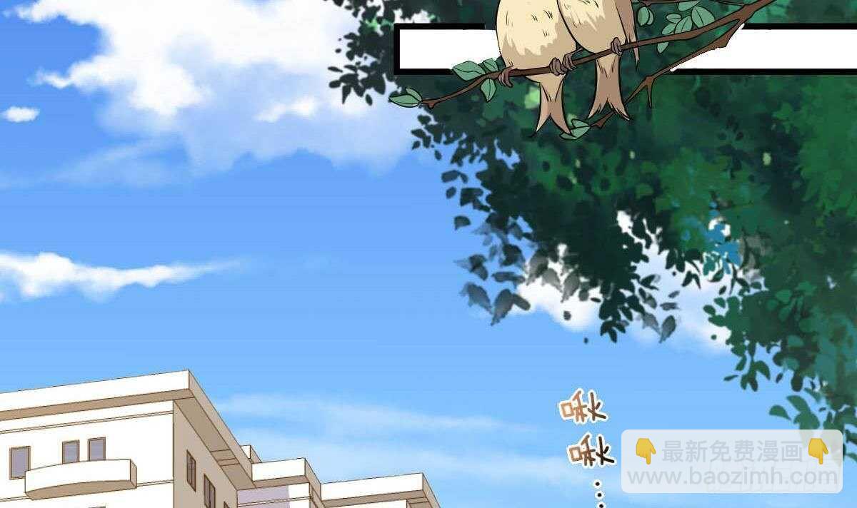 第43话 早晨春光(1/2)-第44话