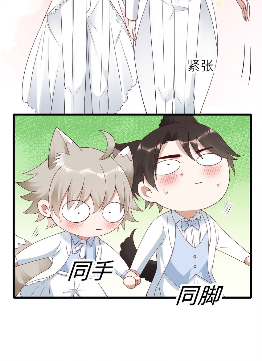 番外 婚礼-第80话