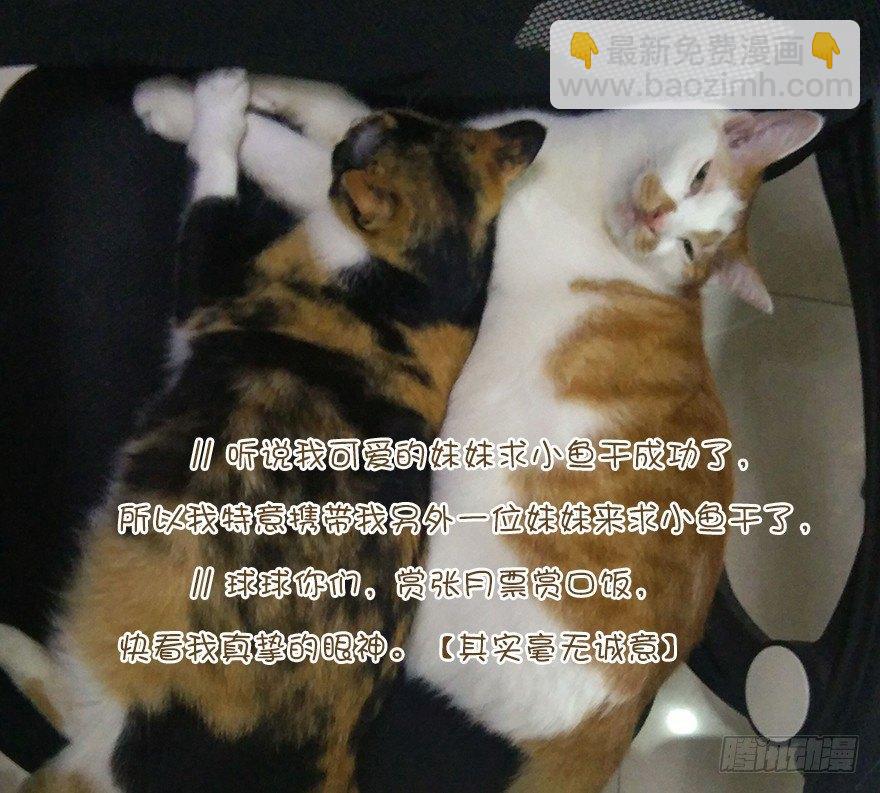 第四十话（下）-第84话