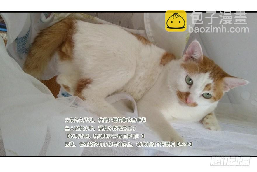 第四十二话（下）-第88话