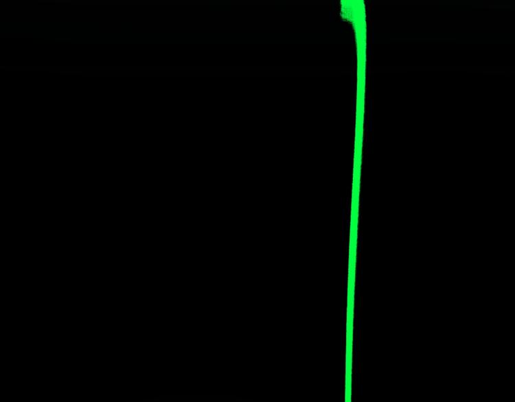 第5话 千毒雾瘴(1/3)-第6话