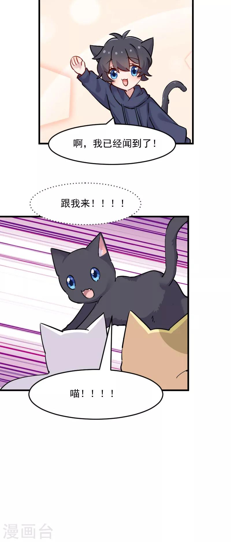 第125话 总裁的爱猫之心-第128话