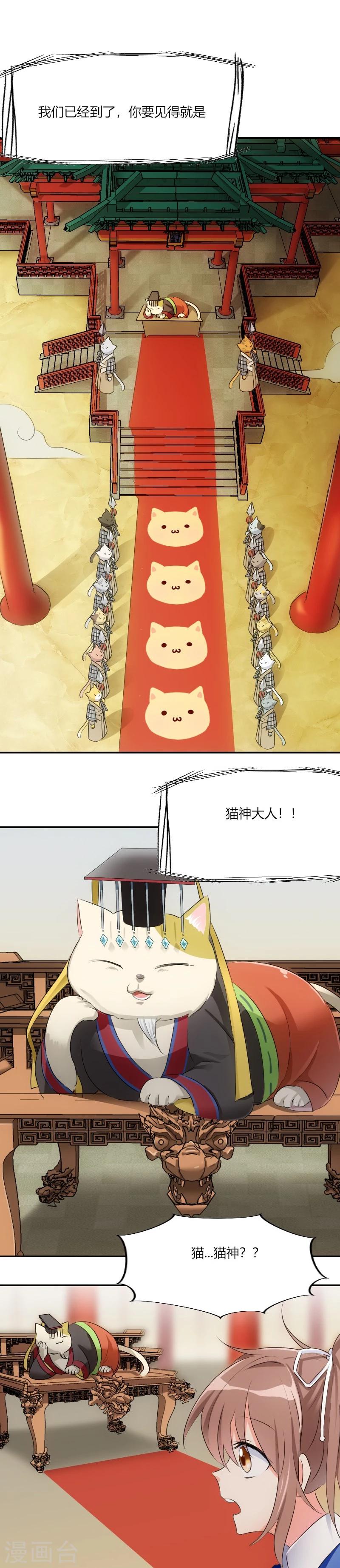 第3话 悲惨的喵生-第4话