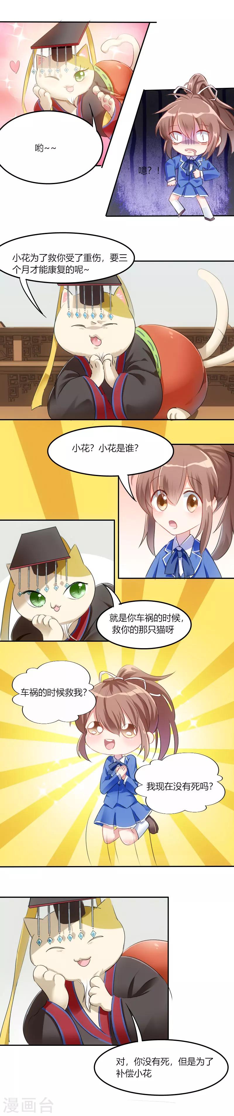 第3话 悲惨的喵生-第4话