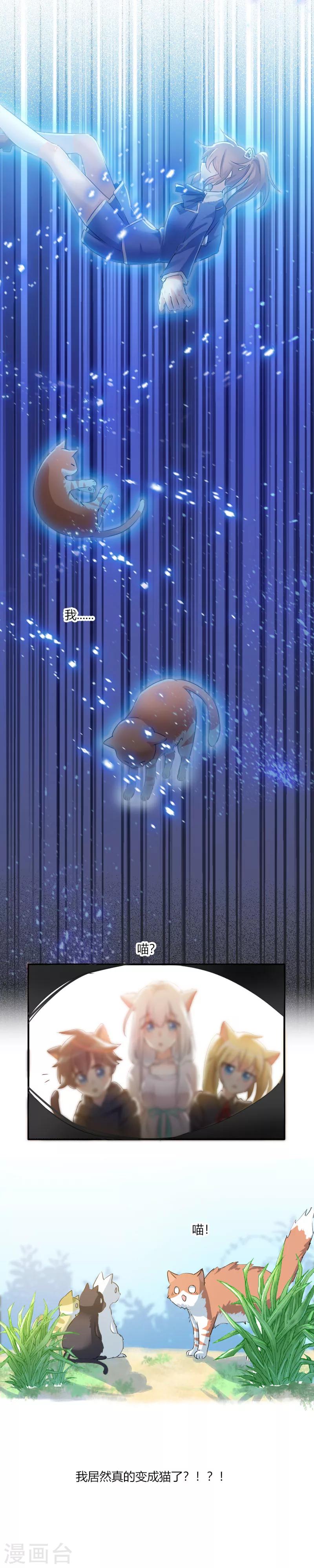 第3话 悲惨的喵生-第4话