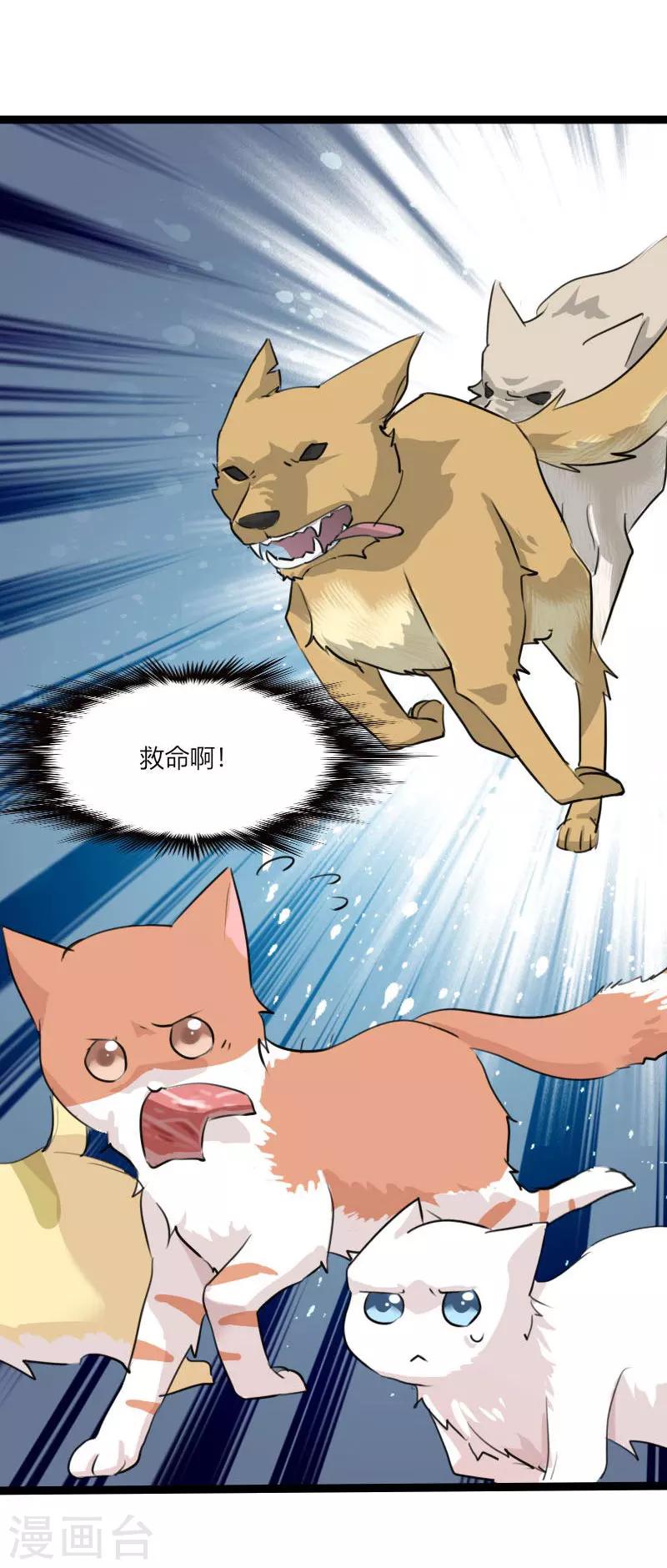 第3话 悲惨的喵生-第4话