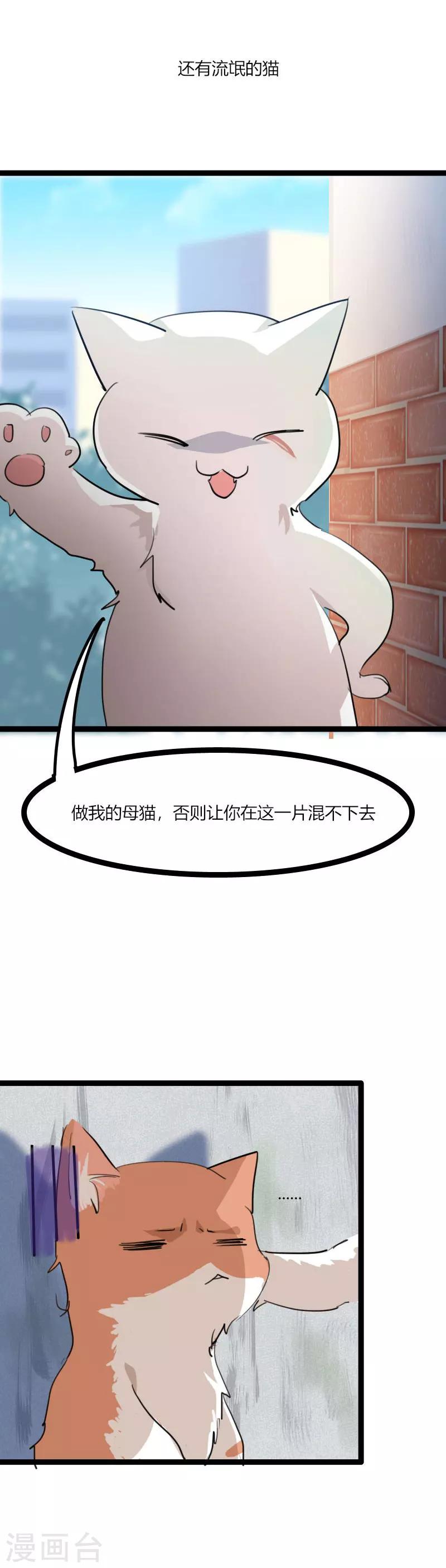 第3话 悲惨的喵生-第4话