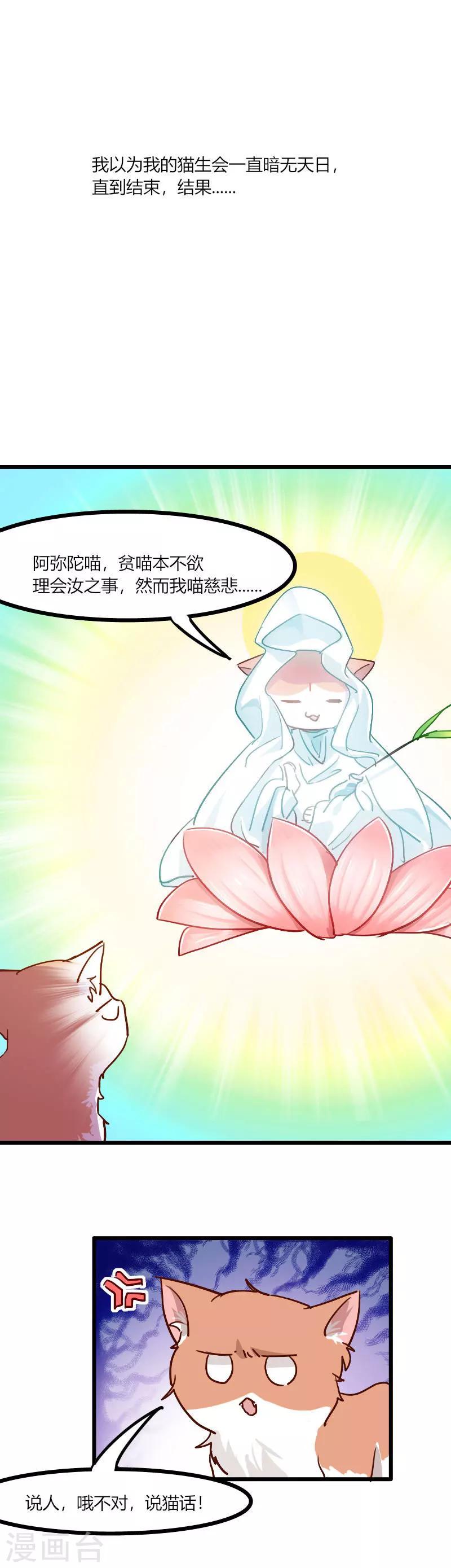 第3话 悲惨的喵生-第4话