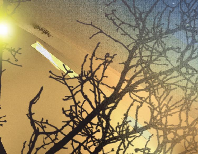 番外之酒州代驾少女(1/3)-第126话