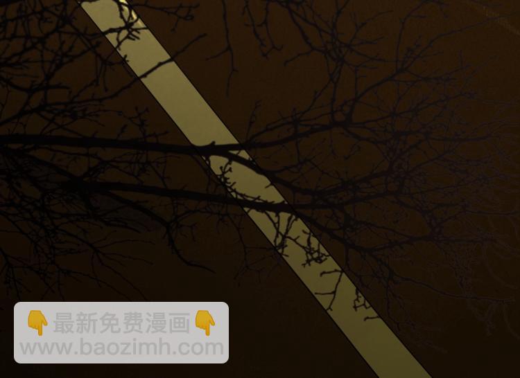 番外之酒州代驾少女(1/3)-第126话