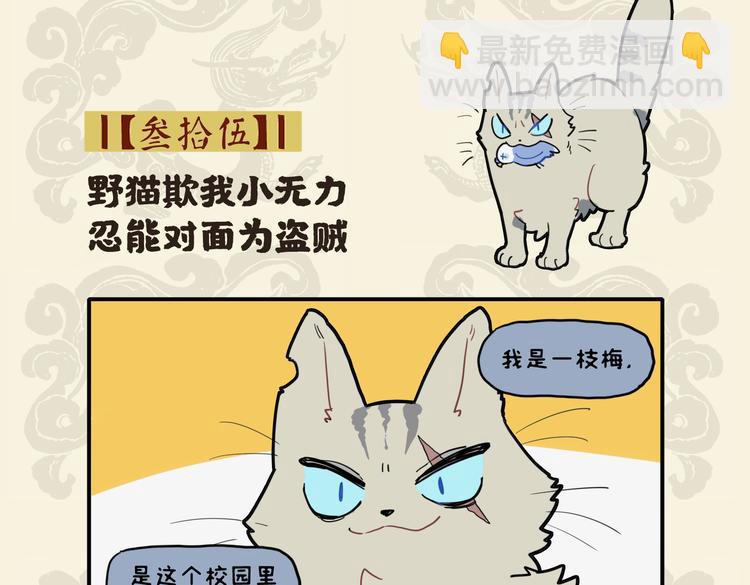 九子不成龙 - 野猫欺我小无力 忍能对面为盗贼 - 2