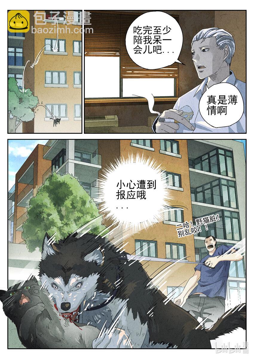 021 番外 猫爪拌饭-第22话