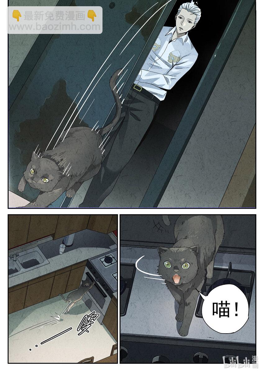 021 番外 猫爪拌饭-第22话