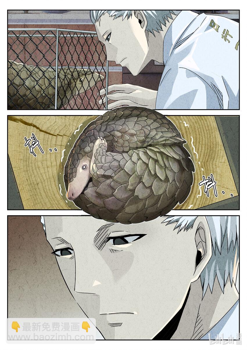 037 第十八话 穿山甲料理（一）-第38话