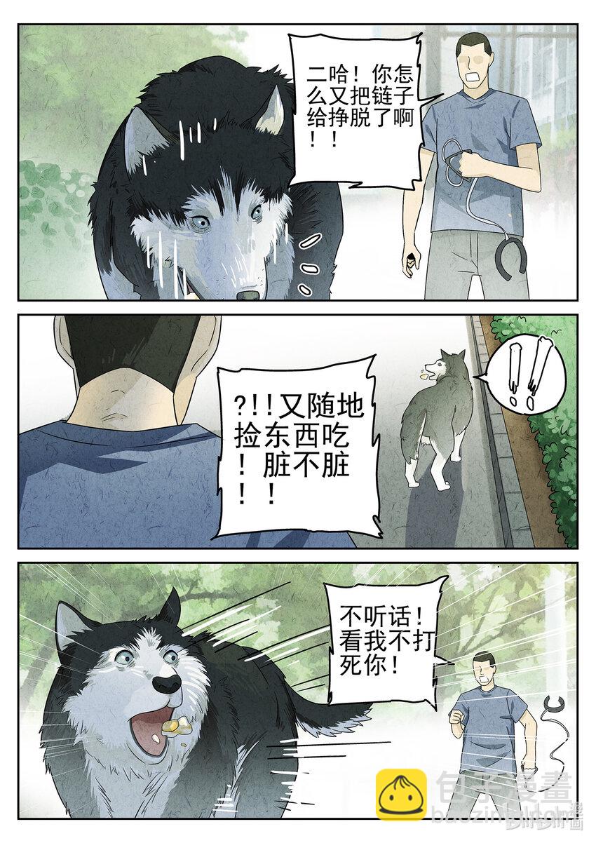 047 第二一话 最完美的煎蛋（二）-第48话