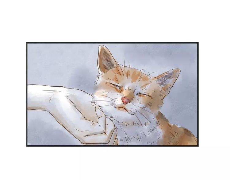 第11话（下）深夜食&mdash;体谅(1/2)-第12话