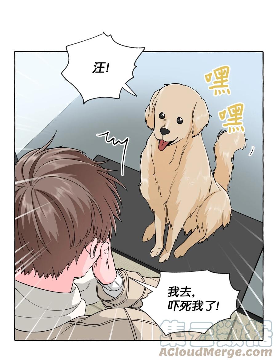 50 失联的成夏(1/2)-第50话