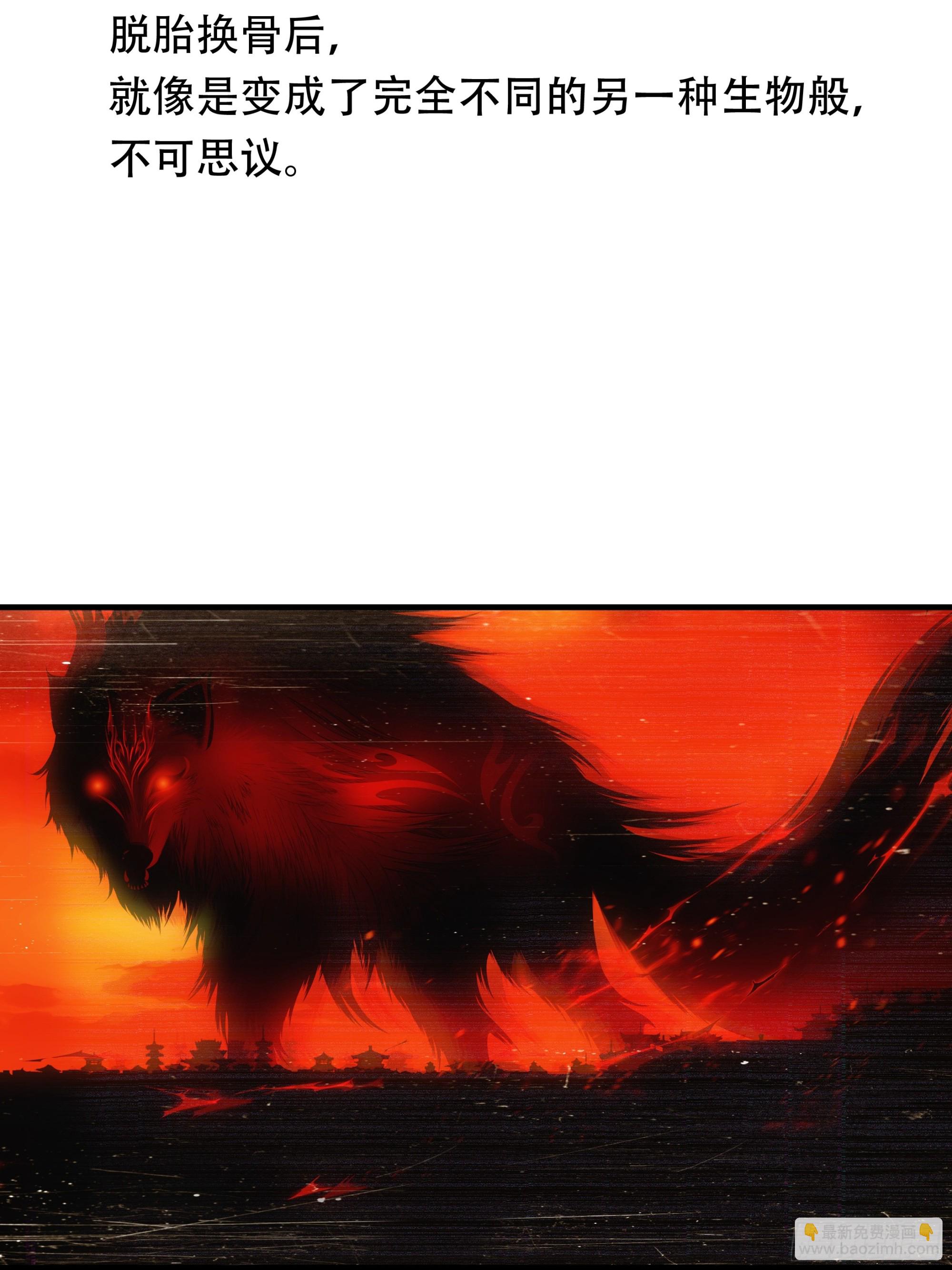 第七十七话(1/2)-第78话